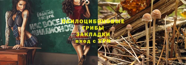 мет Арсеньев