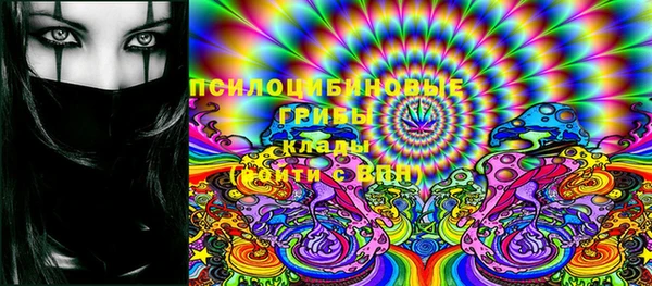 мет Арсеньев