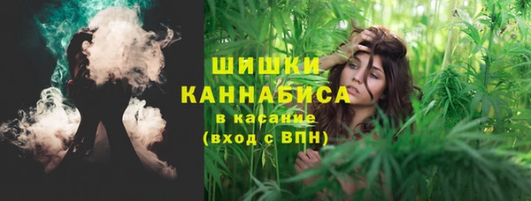 мет Арсеньев