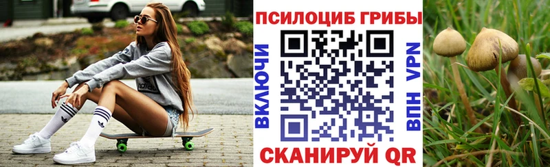 Псилоцибиновые грибы Psilocybine cubensis  Родники 